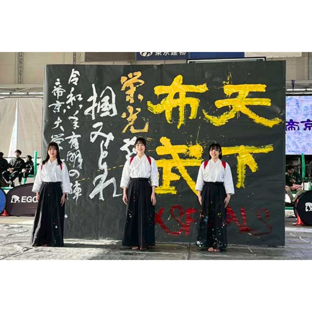 Teikyo University